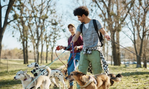 Shopping Cover Image